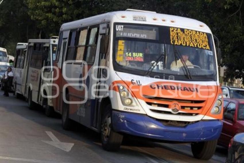 TRANSPORTE PÚBLICO