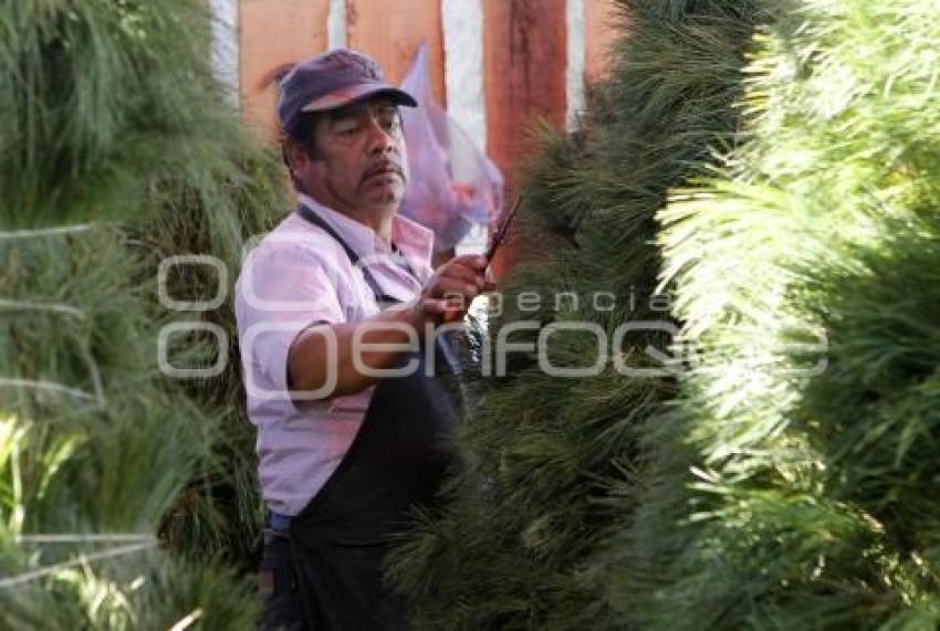 VENTA ARBOLES DE NAVIDAD
