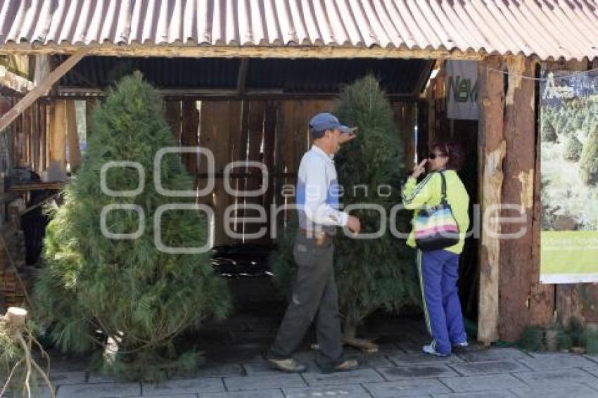 VENTA ARBOLES DE NAVIDAD