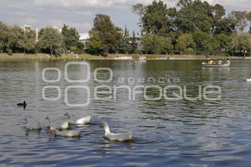 LAGUNA DE SAN BALTAZAR