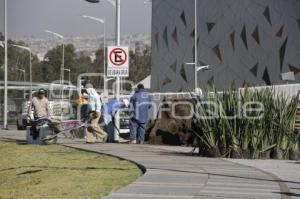 ADORNAN LOS FUERTES . TERCER INFORME