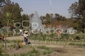 ADORNAN LOS FUERTES . TERCER INFORME