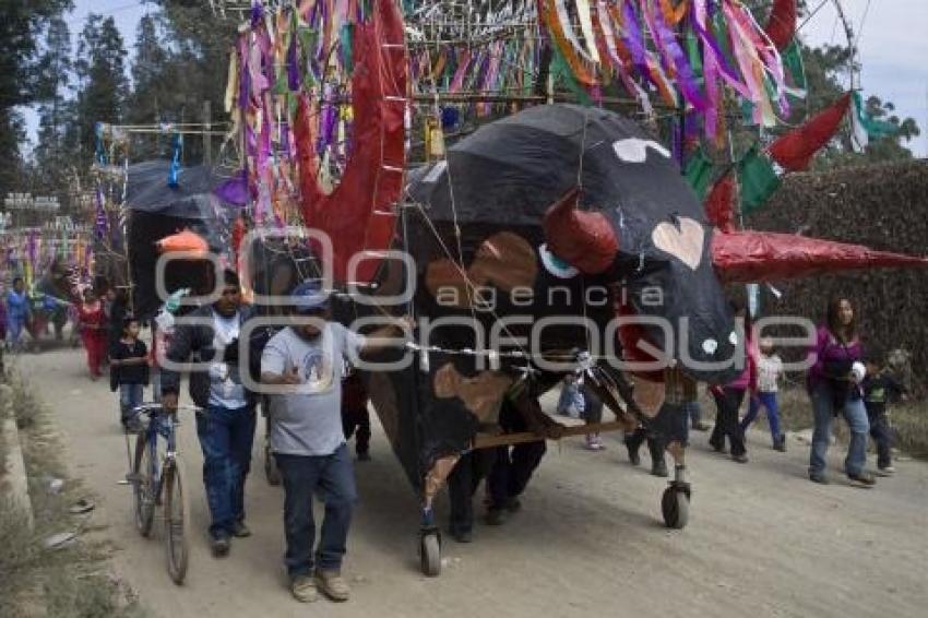 PROCESIÓN TORITOS TEPONTLA