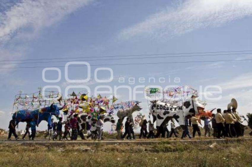 PROCESIÓN TORITOS TEPONTLA