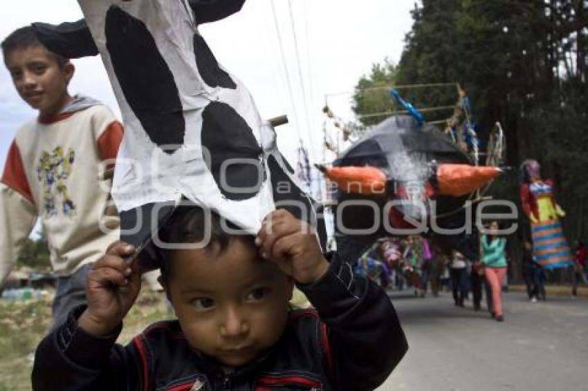 PROCESIÓN TORITOS TEPONTLA