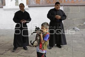 BENDICIÓN DE ANIMALES