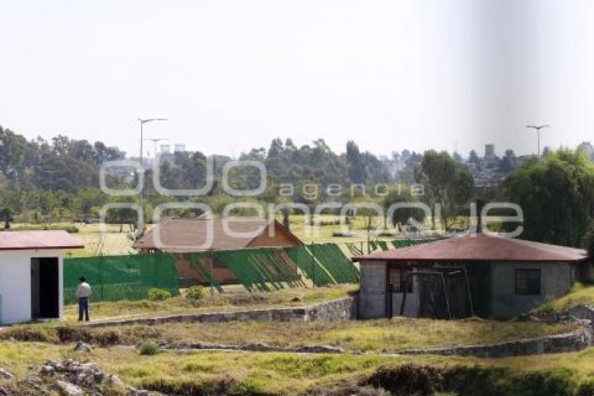 TERRENO MUSEO INTERNACIONAL DEL BARROCO