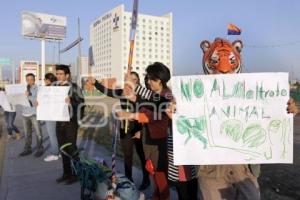 MANIFESTACIÓN CONTRA ANIMALES EN CIRCO