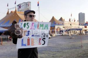 MANIFESTACIÓN CONTRA ANIMALES EN CIRCO