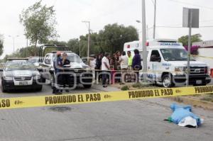 MUERE MUJER ATROPELLADA