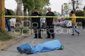 MUERE MUJER ATROPELLADA