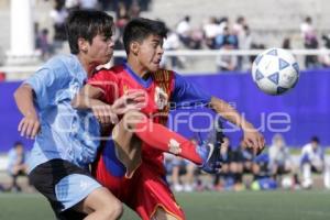 FINAL TORNEO LIGA PREMIER ESTUDIANTIL