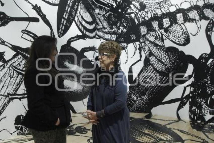 EXPOSICIÓN EL SUEÑO DE MIRRA Y OTRAS CONSTELACIONES