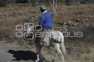 CAMPESINO