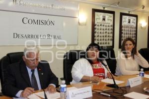 COMISIÓN DE DESARROLLO RURAL