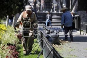 CUIDADO DE ÁREAS VERDES