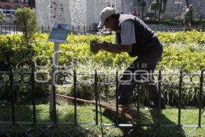 CUIDADO DE ÁREAS VERDES