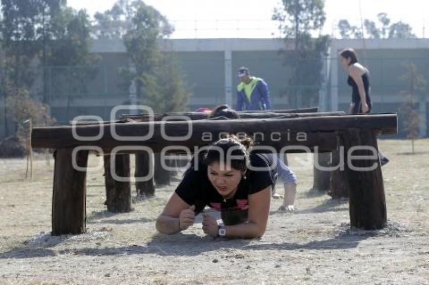 LOBO TRANING