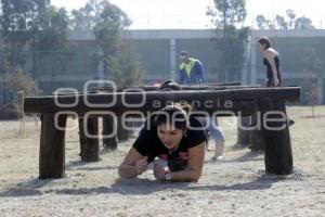 LOBO TRANING