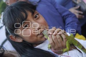 SEGUNDA EDICIÓN BESO DE FOTOGRAFÍA