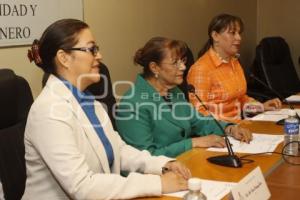 CONGRESO. COMISIÓN EQUIDAD Y GÉNERO
