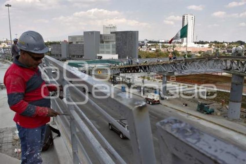 PUENTE PARQUE LINEAL
