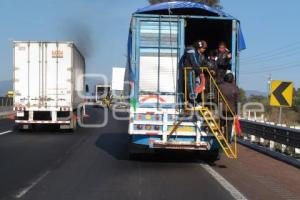 PEREGRINOS EN LA AUTOPISTA