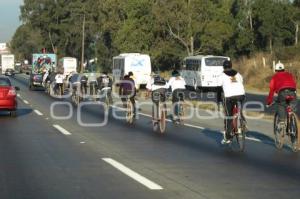 PEREGRINOS EN LA AUTOPISTA