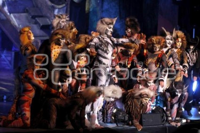 OBRA DE TEATRO CATS