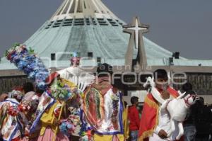 PEREGRINACIÓN ANUAL A LA BASÍLICA DE GUADALUPE