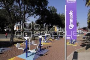 CAMBIAN COLOR MORADO POR AZUL EN GIMNASIOS