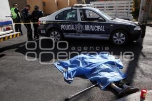 NOTA ROJA . ATROPELLADA