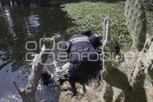 AHOGADO EN VALSEQUILLO