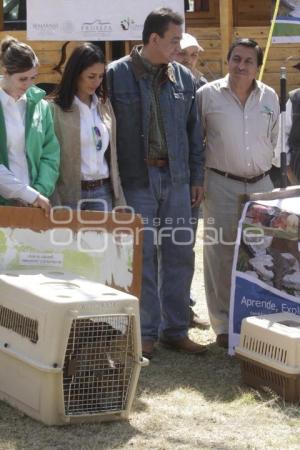 LIBERAN ANIMALES EN SU HÁBITAT NATURAL