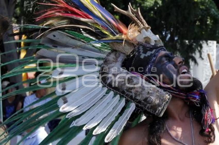 DEFENSA DE PUEBLOS INDÍGENAS