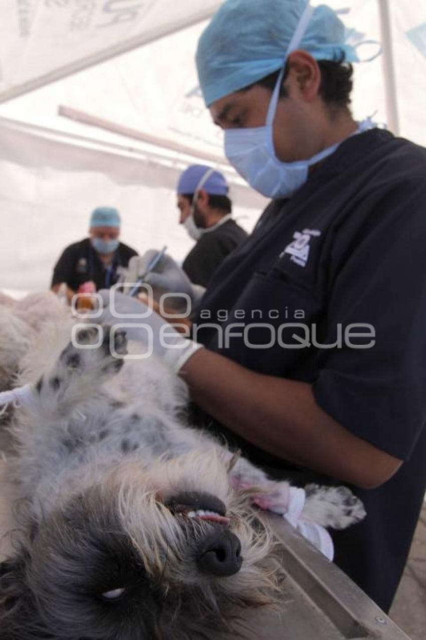 MACRO JORNADA DE ESTERILIZACIÓN