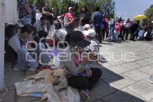 MACRO JORNADA DE ESTERILIZACIÓN