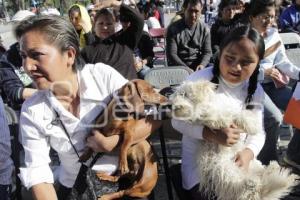 MACRO JORNADA DE ESTERILIZACIÓN