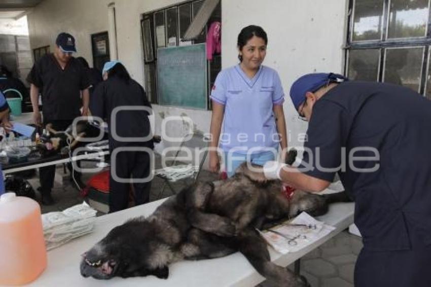 MACRO JORNADA DE ESTERILIZACIÓN