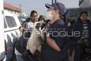 MACRO JORNADA DE ESTERILIZACIÓN