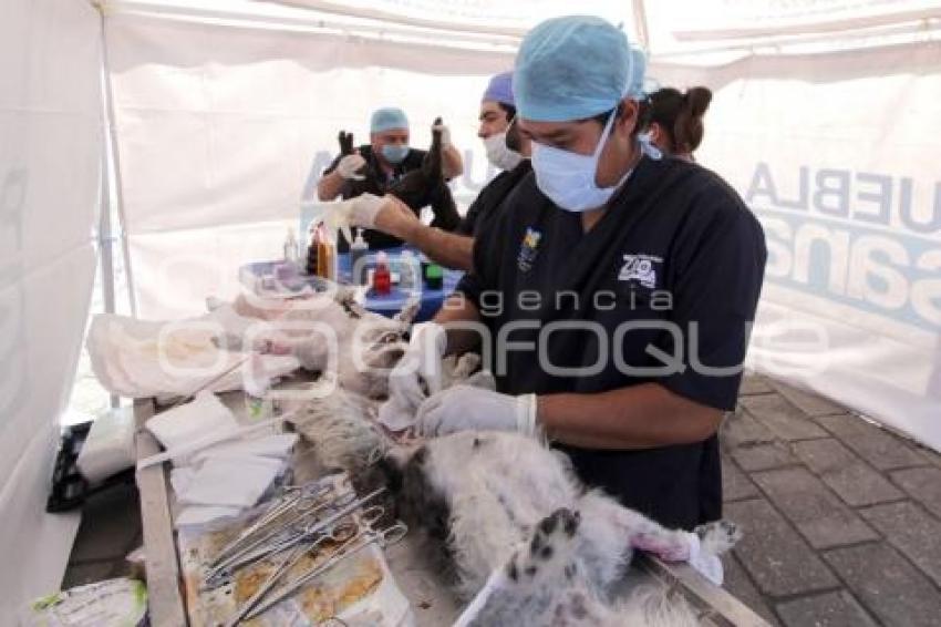 MACRO JORNADA DE ESTERILIZACIÓN