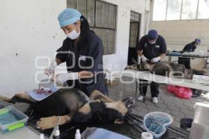 MACRO JORNADA DE ESTERILIZACIÓN