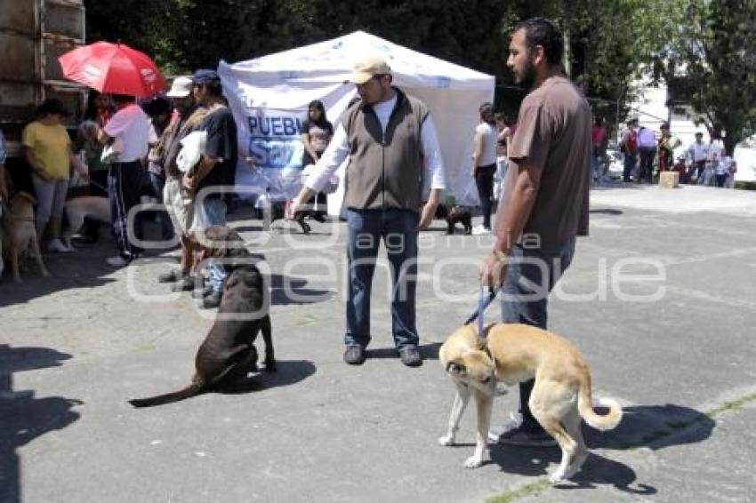 MACRO JORNADA DE ESTERILIZACIÓN