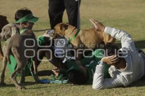 PERROTÓN DOG CHOW PUEBLA 2014