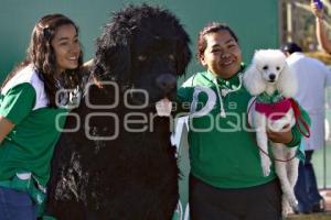 PERROTÓN DOG CHOW PUEBLA 2014