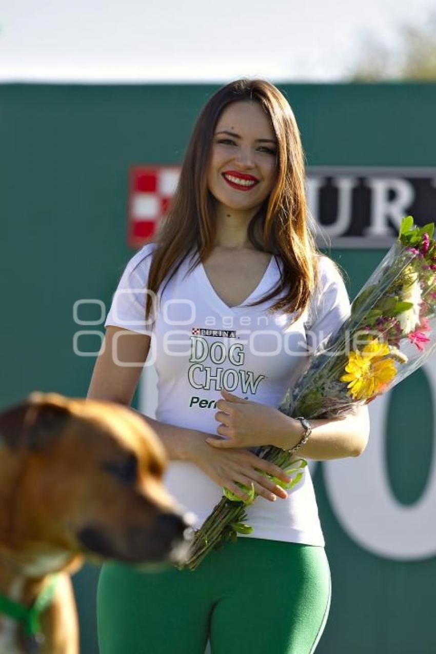 PERROTÓN DOG CHOW PUEBLA 2014