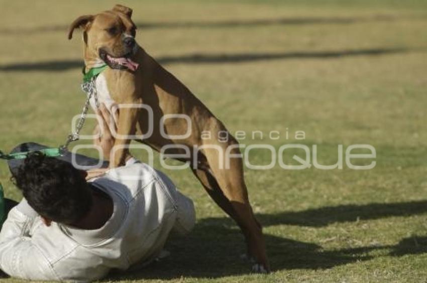 PERROTÓN DOG CHOW PUEBLA 2014