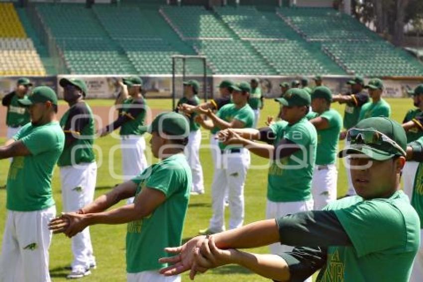 ENTRENAMIENTO PERICOS DE PUEBLA