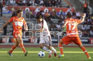 LOBOS VS CORRECAMINOS