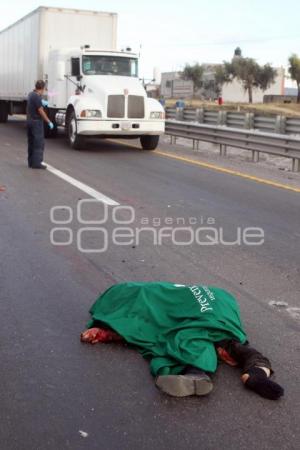 ATROPELLADO EN AUTOPISTA